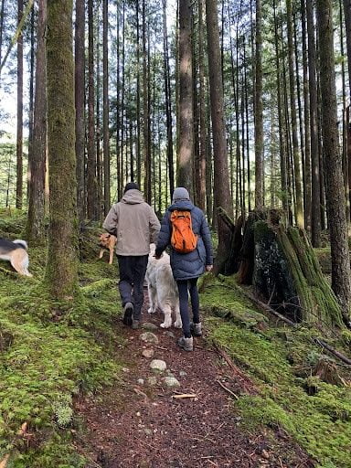 T&B family goes for a hike