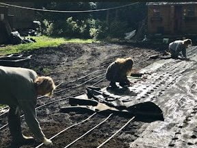 Family working to prepare the farm for planting