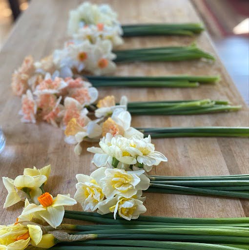 Bundles of different types of narcissi