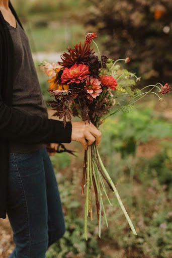 Autumn flowers