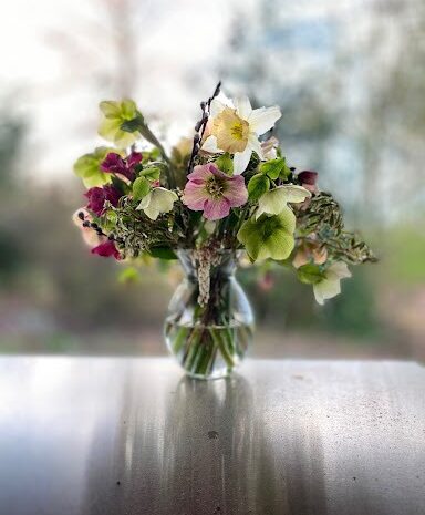 Hellebores and other foliage flowers in vase