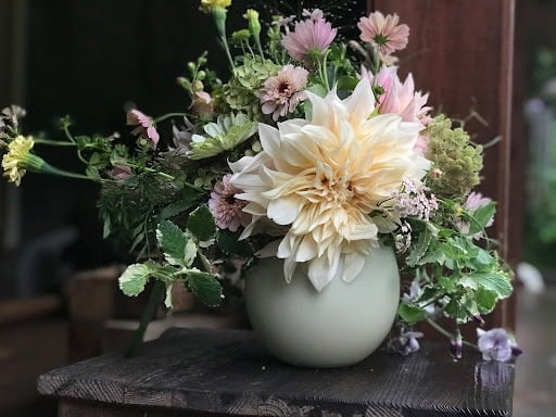 Flower arrangement with Dahlia 'Cafe au lait'