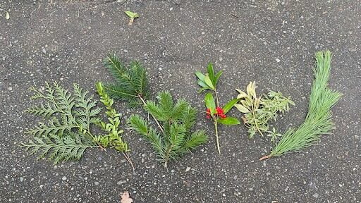 Selection of foliage sprigs suitable for a wreath