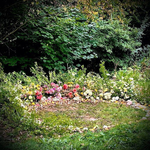 Arrangement of flowers laid on the ground in a circle for a bridal couple