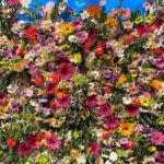 Eco-friendly Flowers