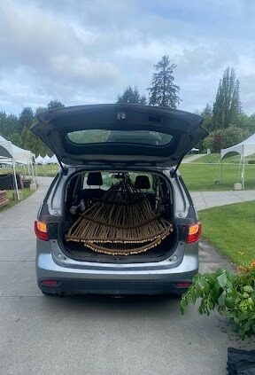 Parked car with trunk open, filled with twigs.